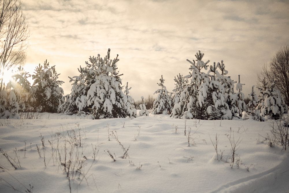 Photograph by Евгений Баранов