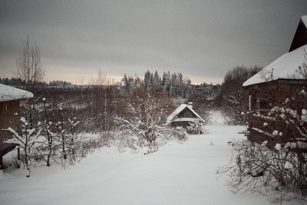 Photograph by Евгений Баранов