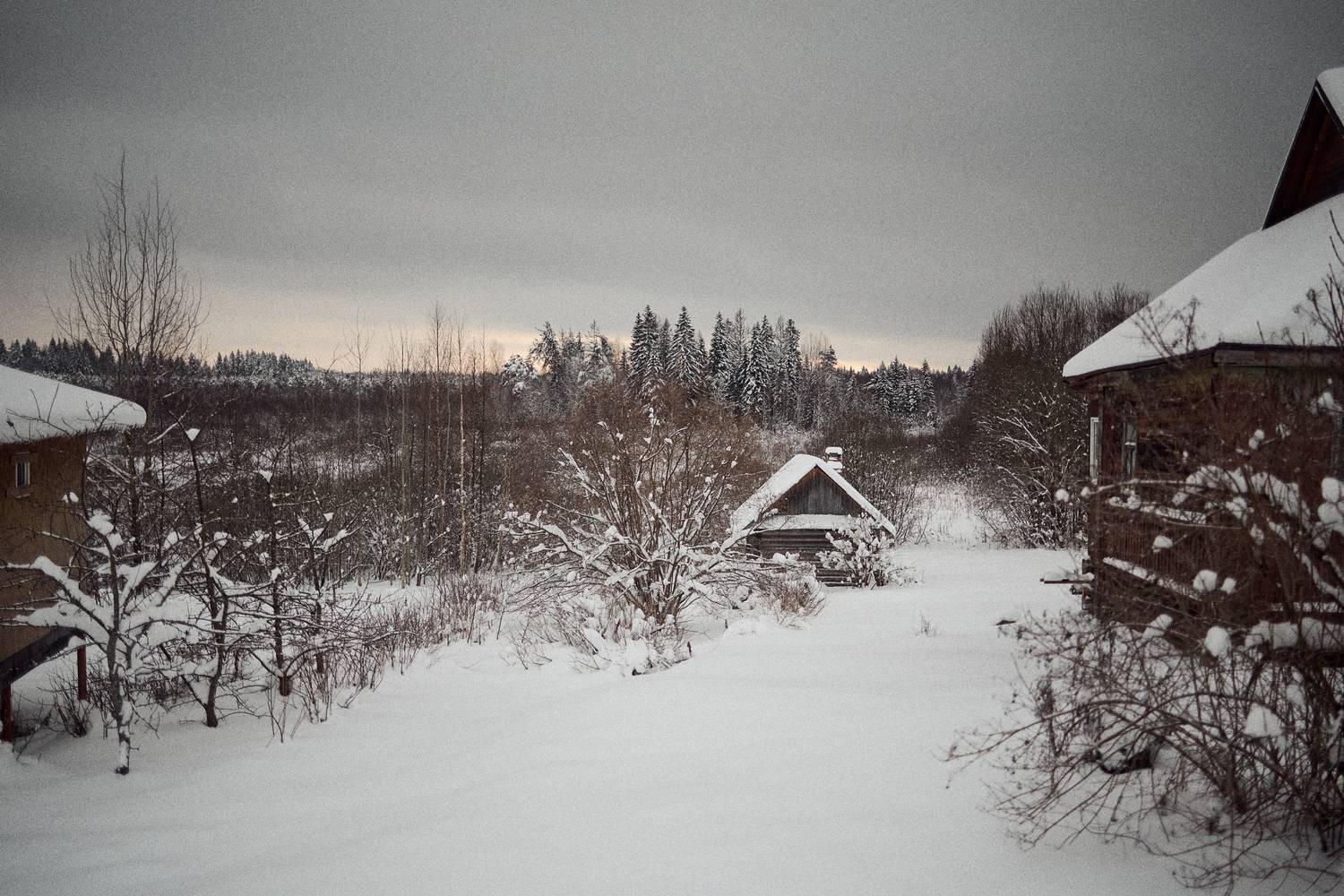 Фотография #13162209