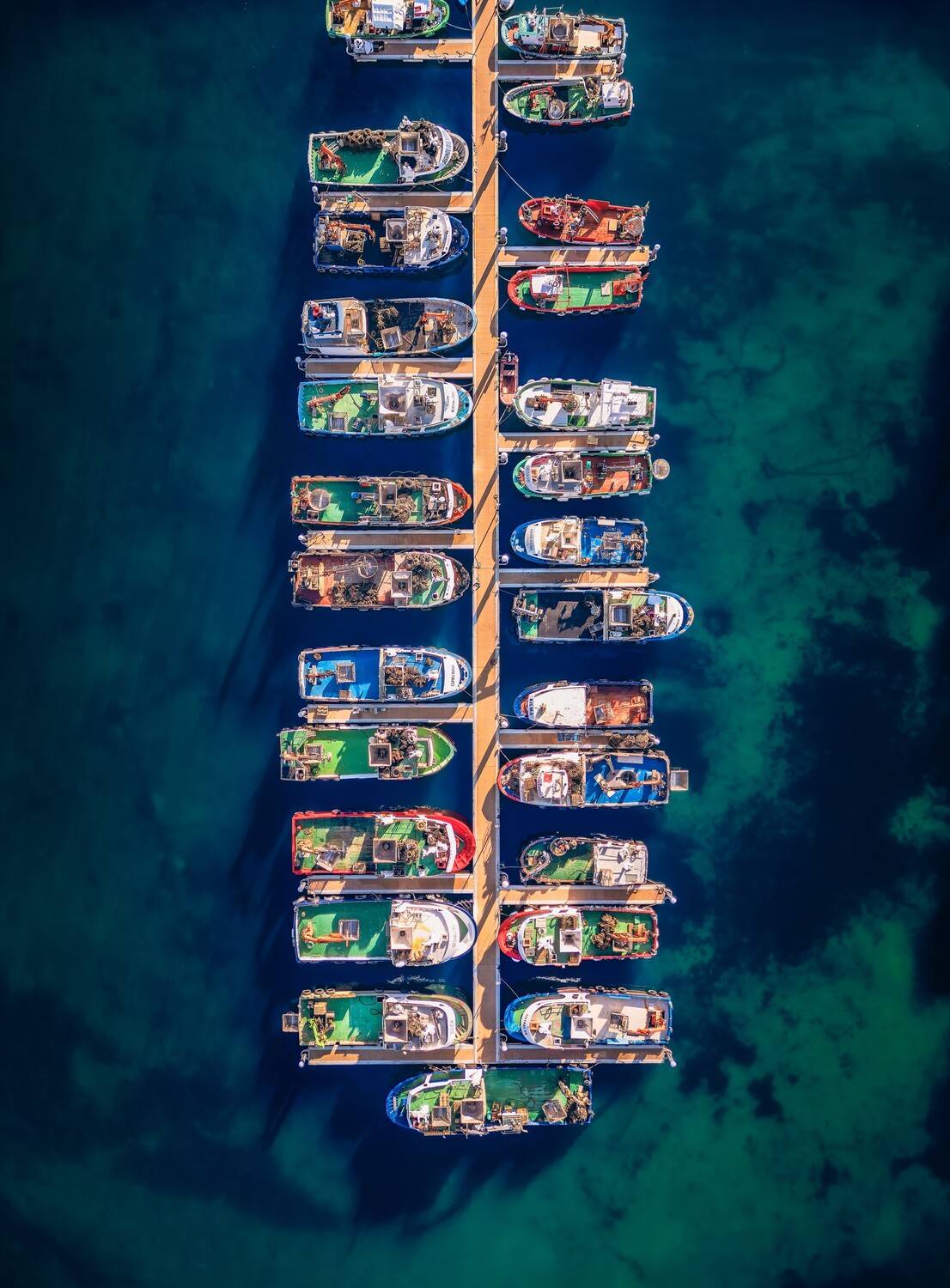 Фотография #13162210