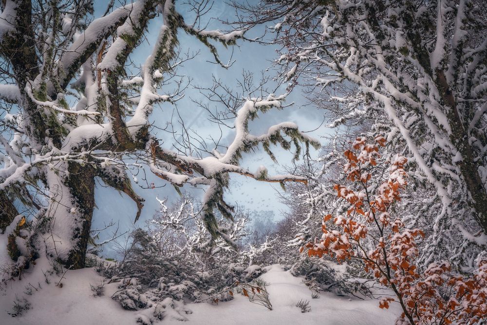 Photograph by Francisco Crusat