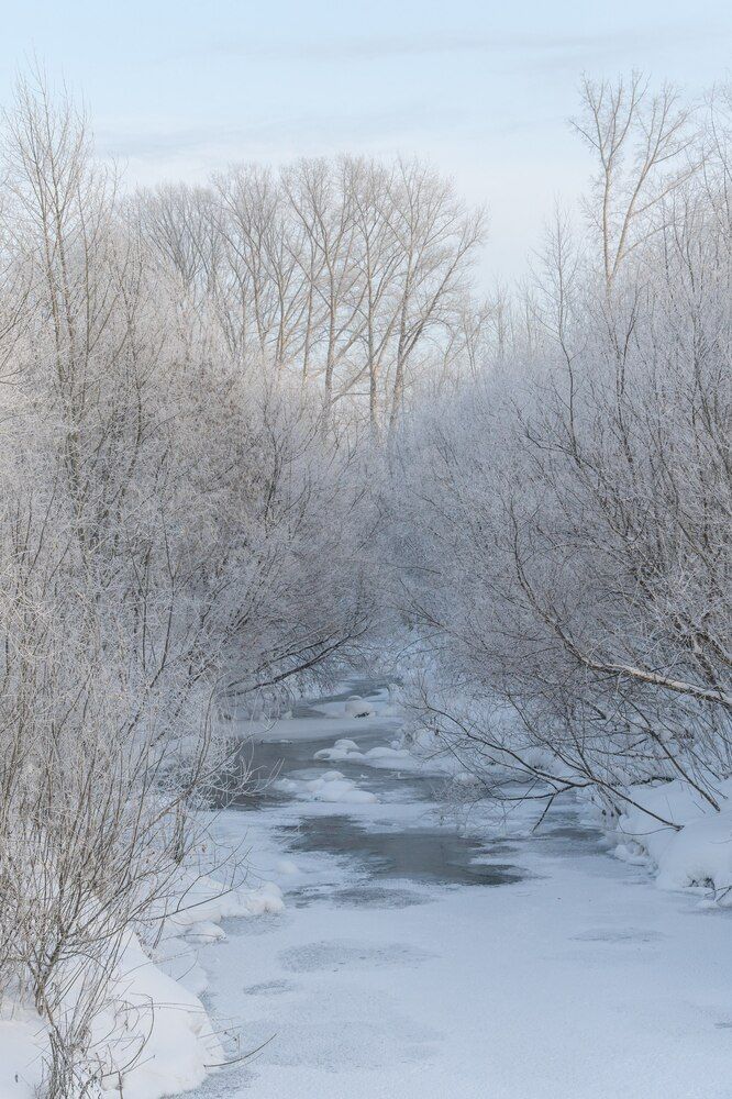 Фотография автора Максим Грибанов