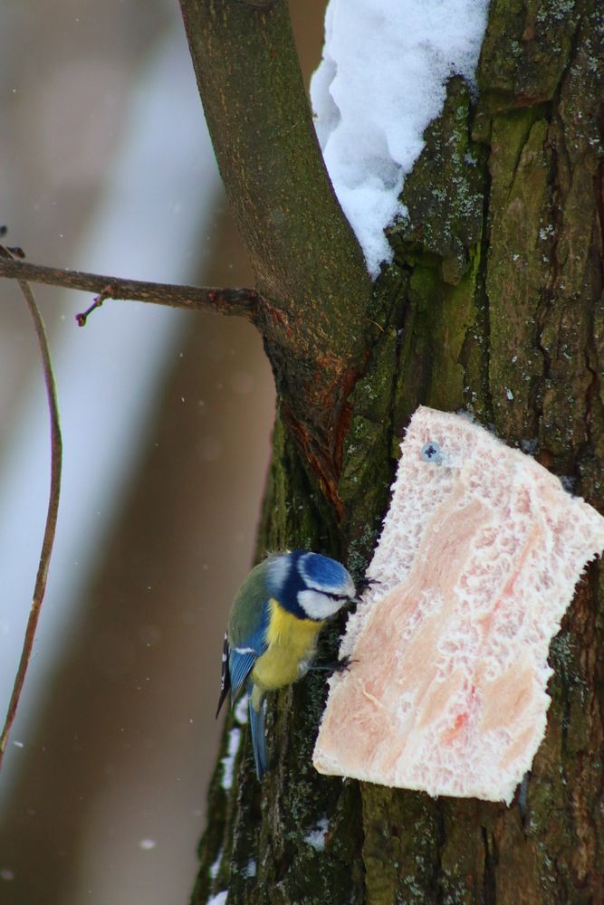 Photograph by Светлана Шуткова