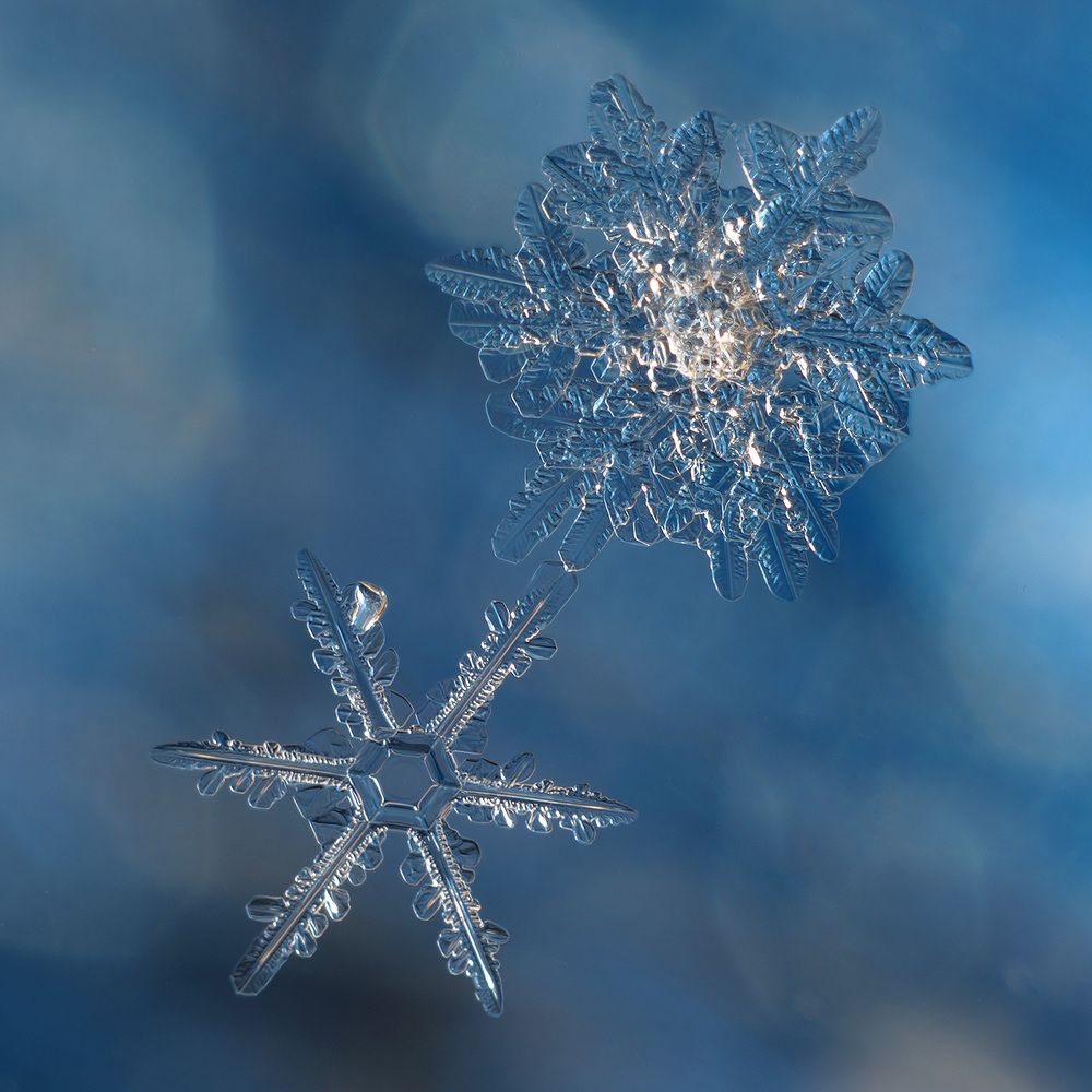 Photograph by Поляков Алексей