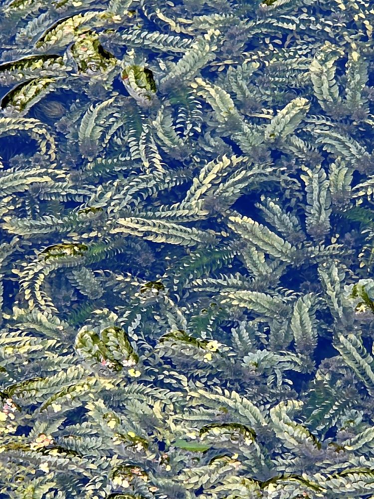 Photograph by Куделенко Оксана