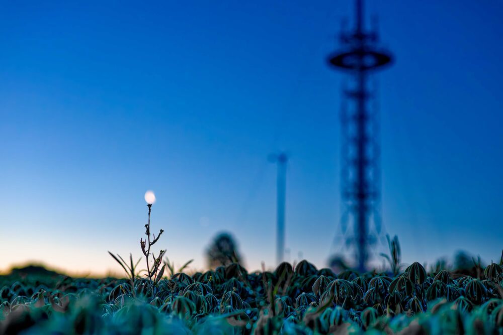 Photograph by Alexey Shaporin