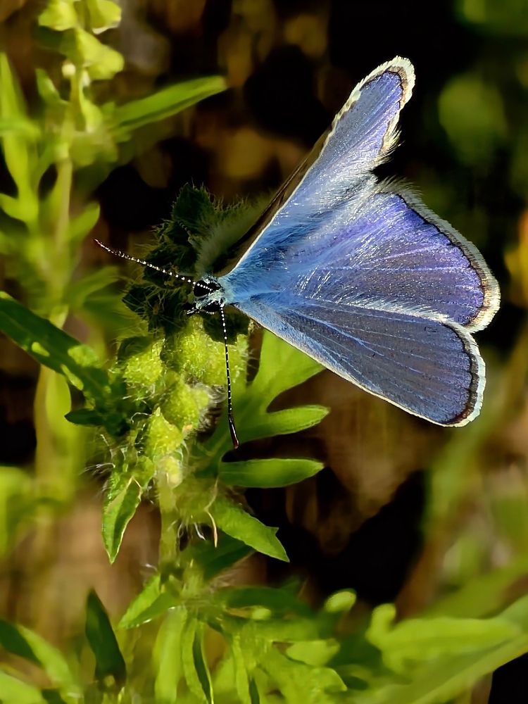 Photograph by Куделенко Оксана