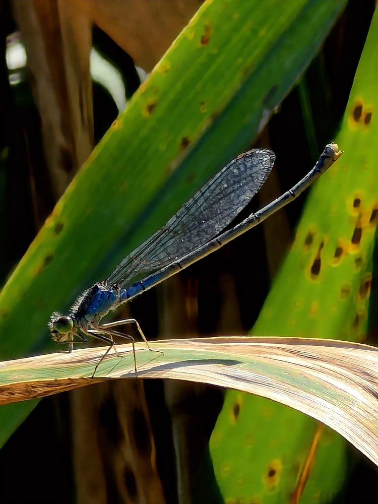 Photograph by Куделенко Оксана