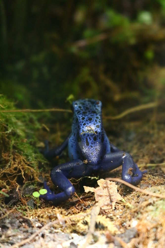 Photograph by Светлана Шуткова