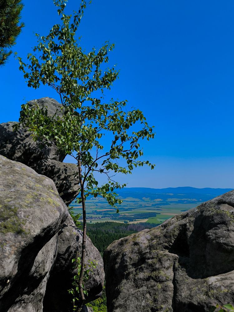 Фотография автора Татьяна Яцкевич