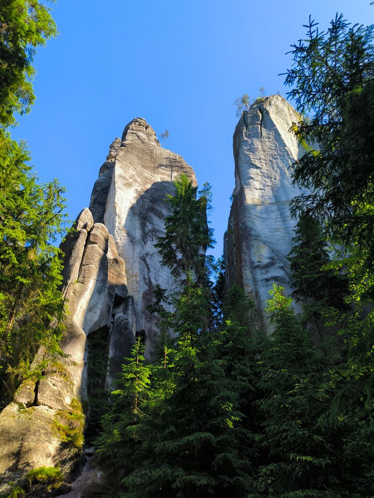 Фотография автора Татьяна Яцкевич
