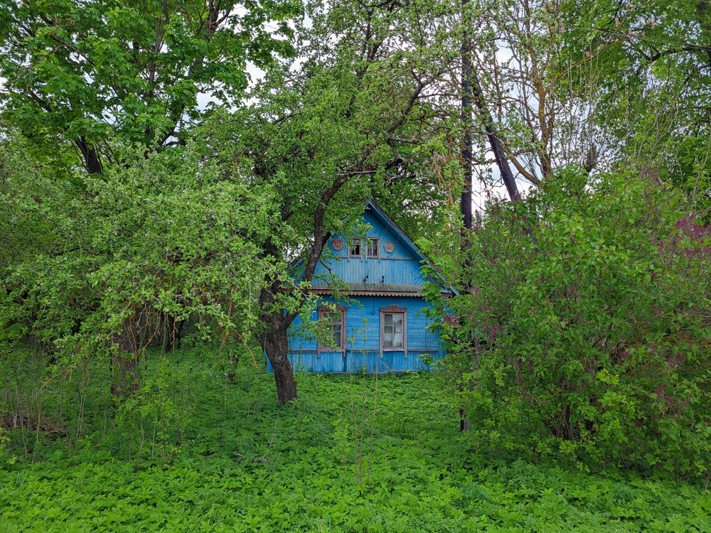 Photograph by Alexandr Gorelenkov