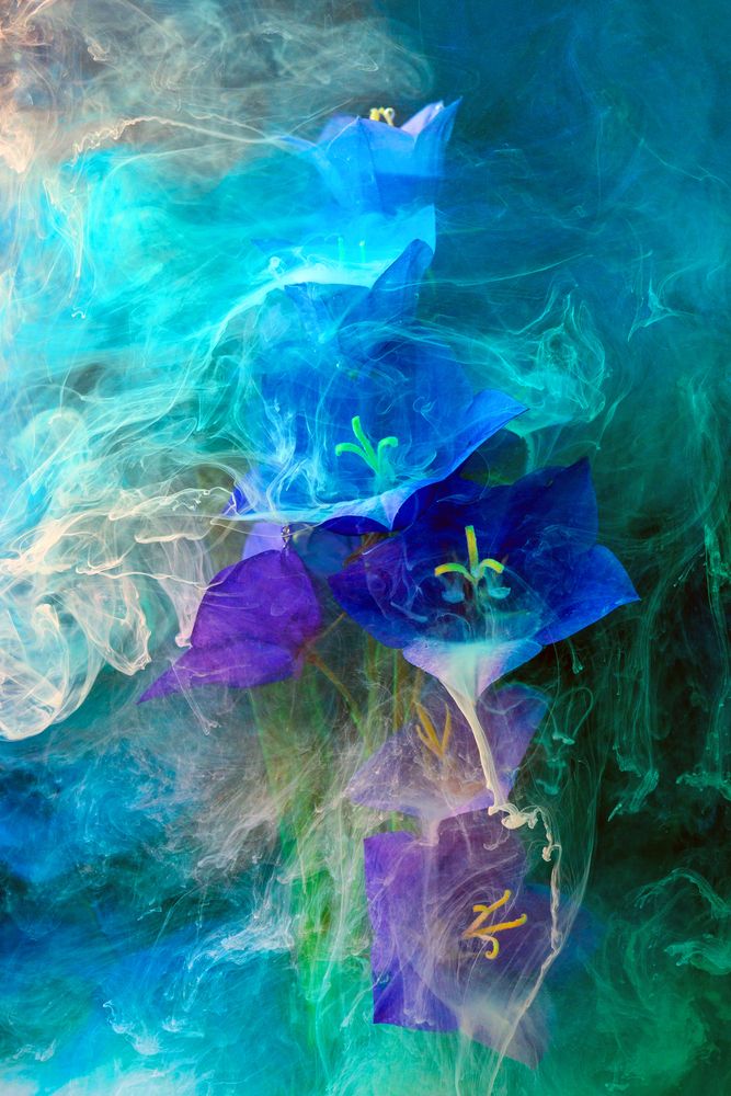 Photograph by Ivanova Inga