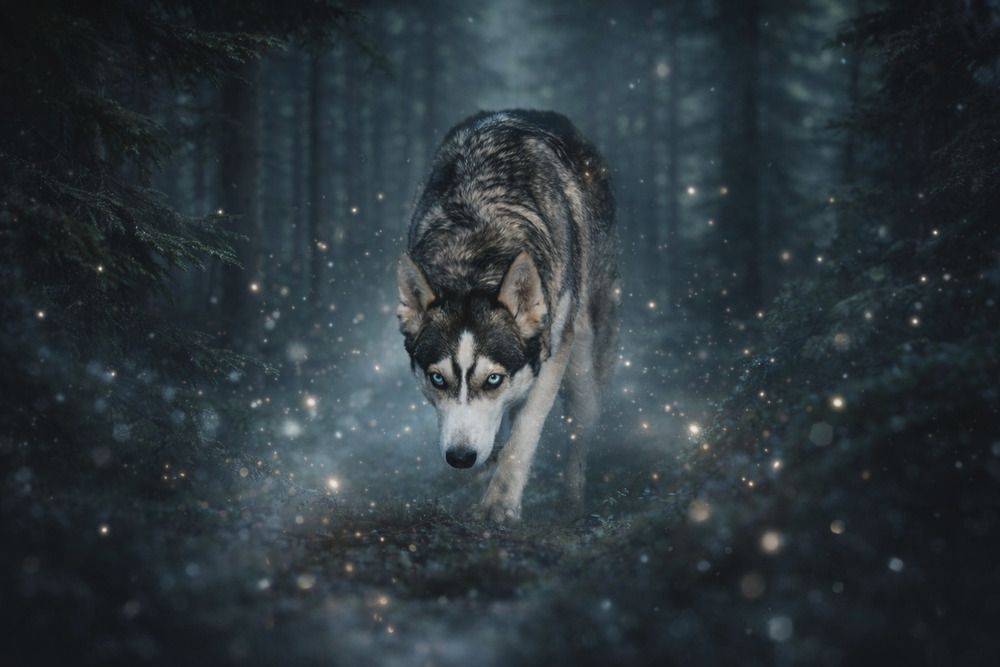 Photograph by Светлана Гущина