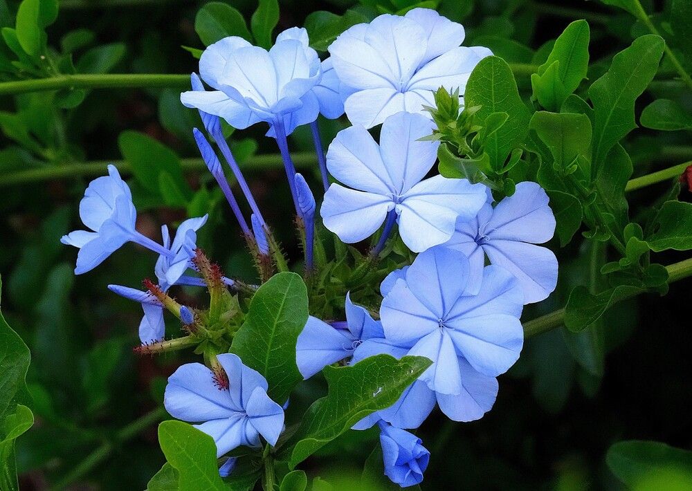 Photograph by Марина Раткун