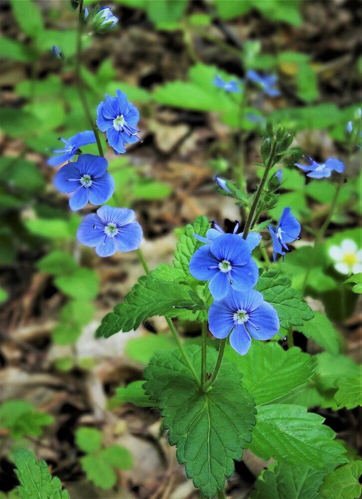 Photograph by Марина Раткун