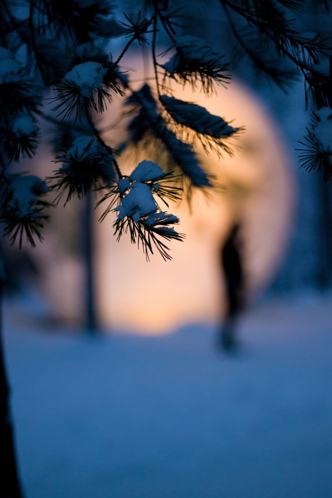 Фотография автора Надежда Надежда