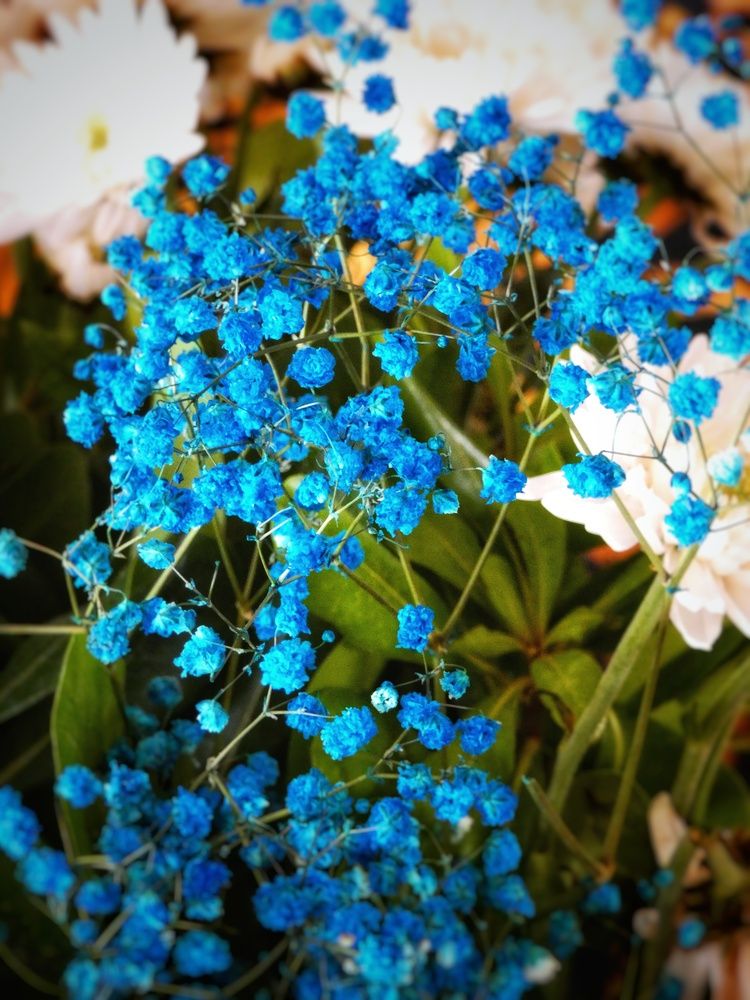 Photograph by Марина