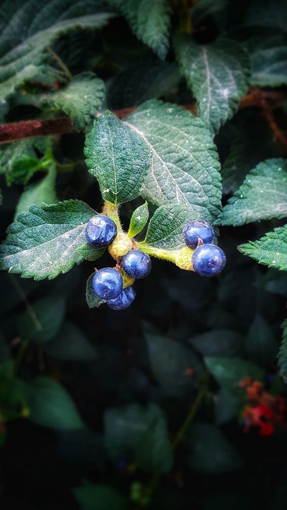 Photograph by Марина