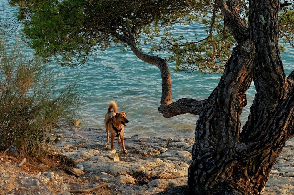 Photograph by Marina Odintsova