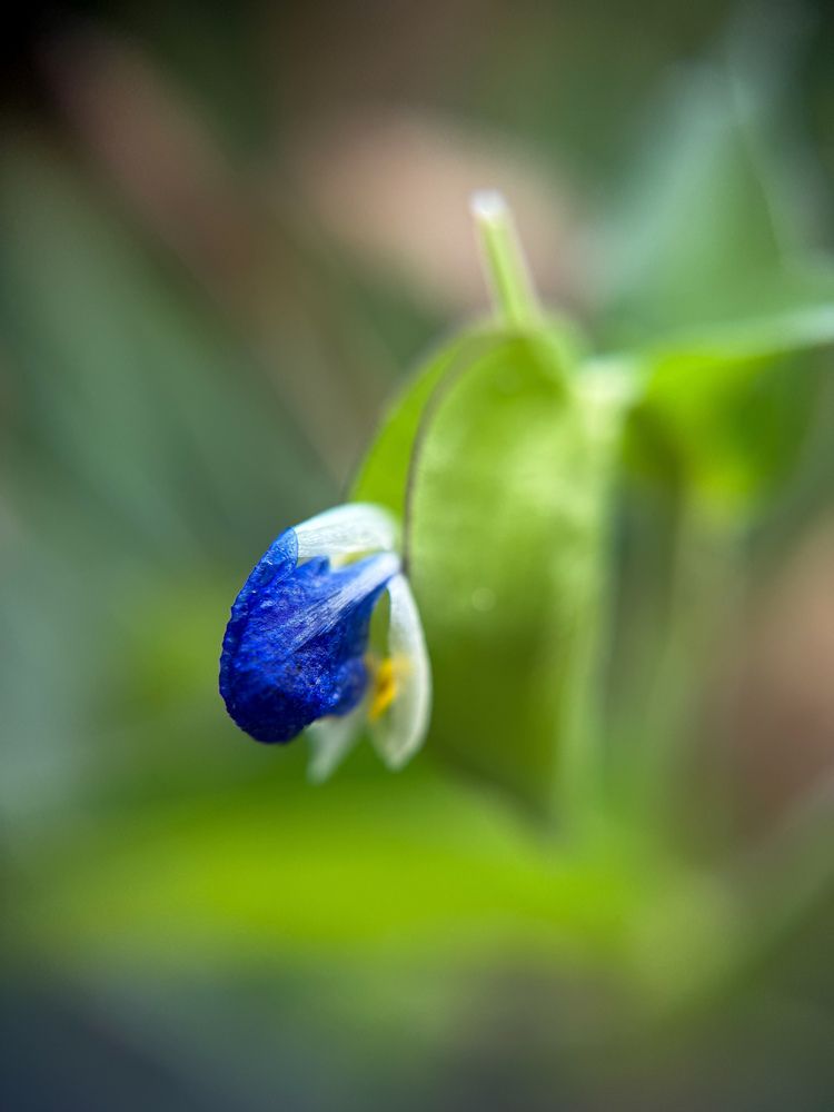 Photograph by Анна Пигулевская