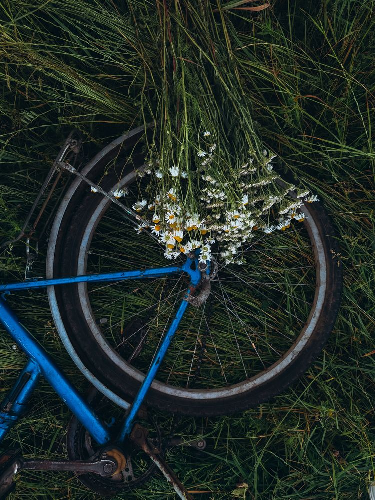 Photograph by Анна Пигулевская