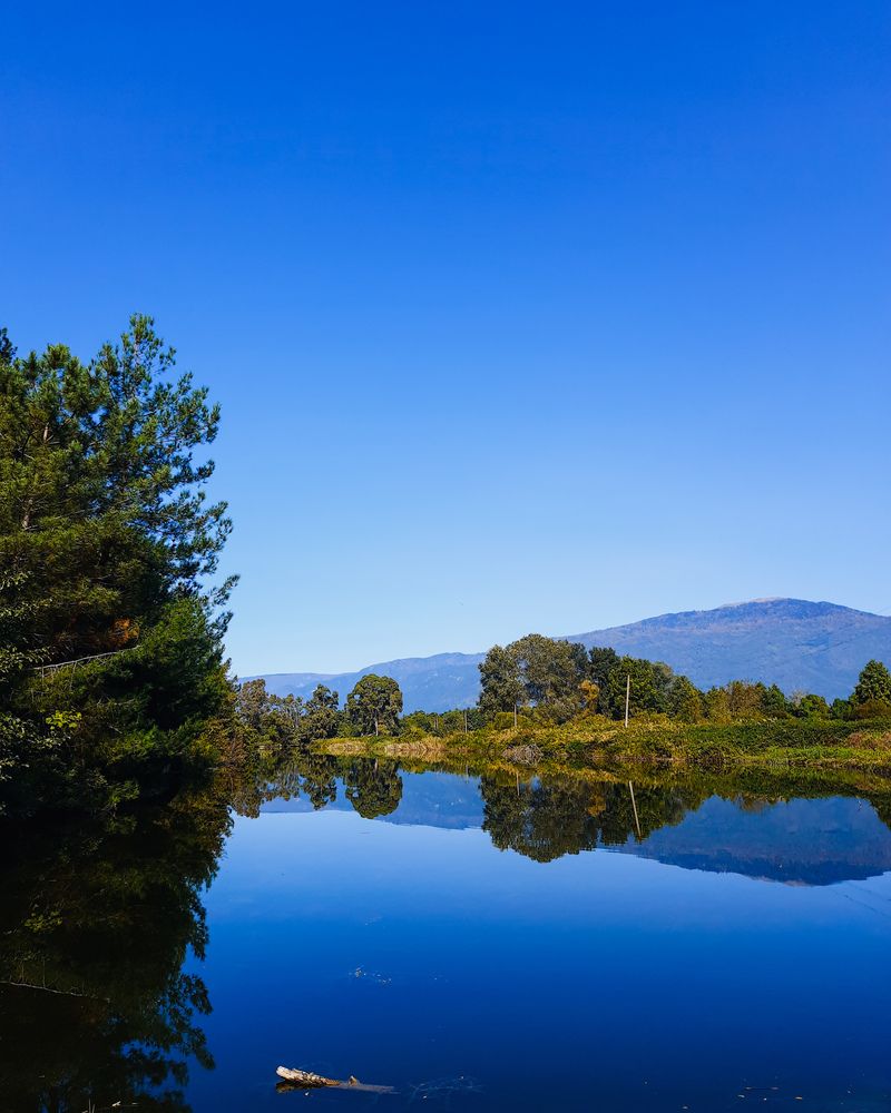 Photograph by Александра Ельникова