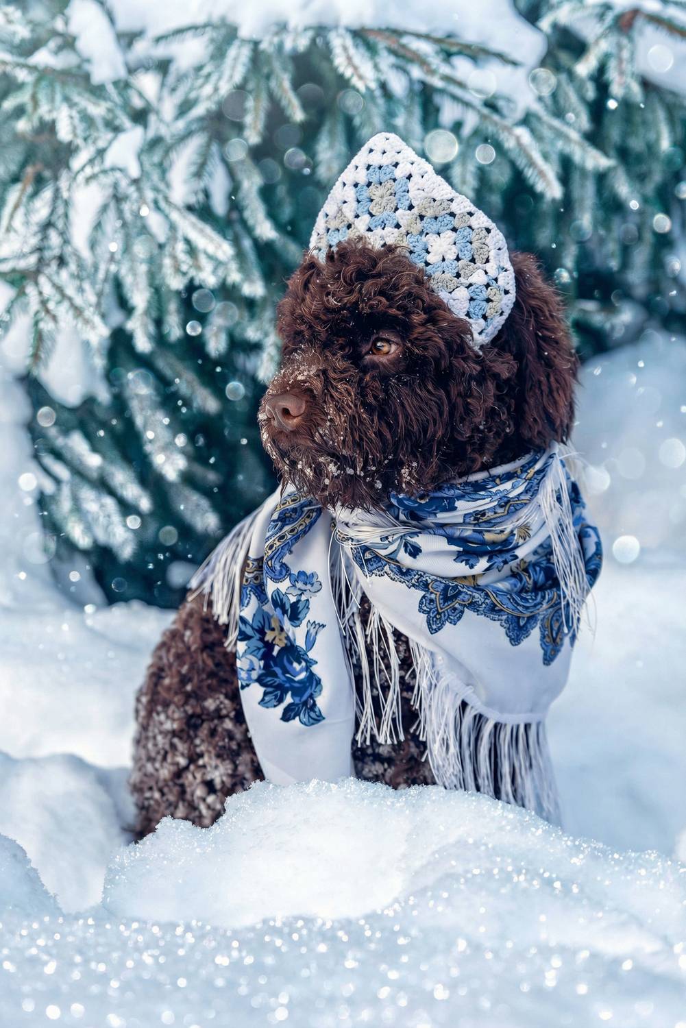 Фотография #13162441