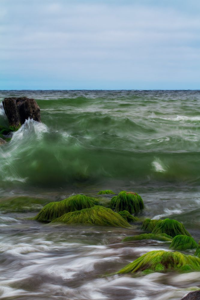 Photograph by Матюхина Наталья