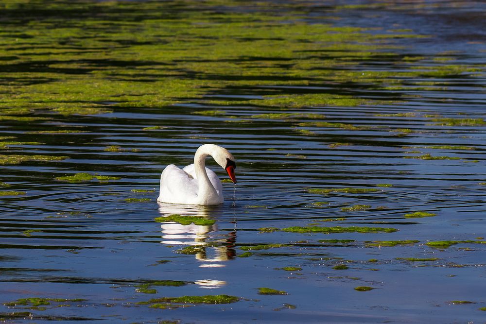 Photograph by Матюхина Наталья