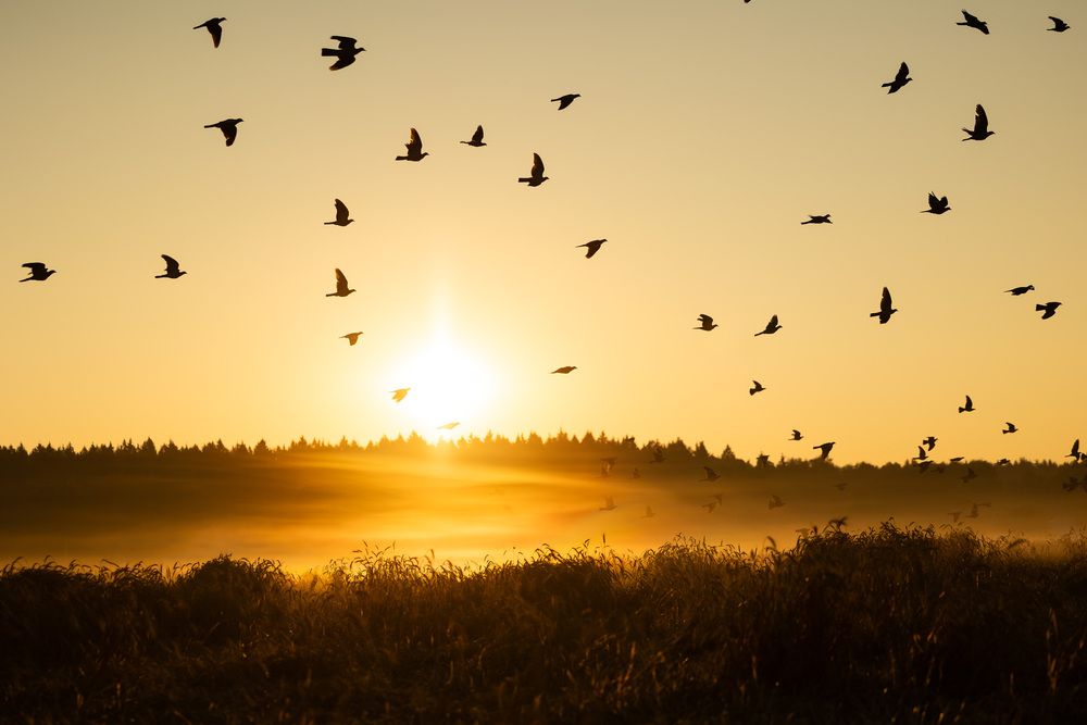 Фотография автора Мария Комратова