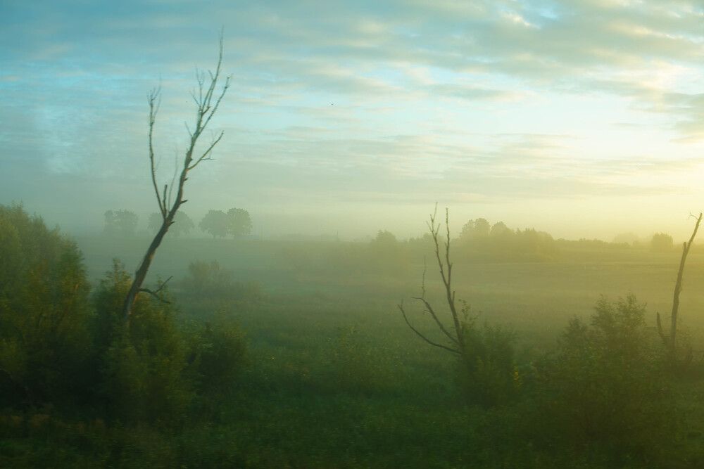 Утренняя дымка