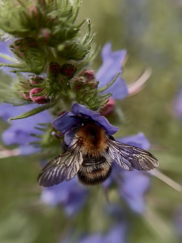Photograph by Юлия Конопелкина