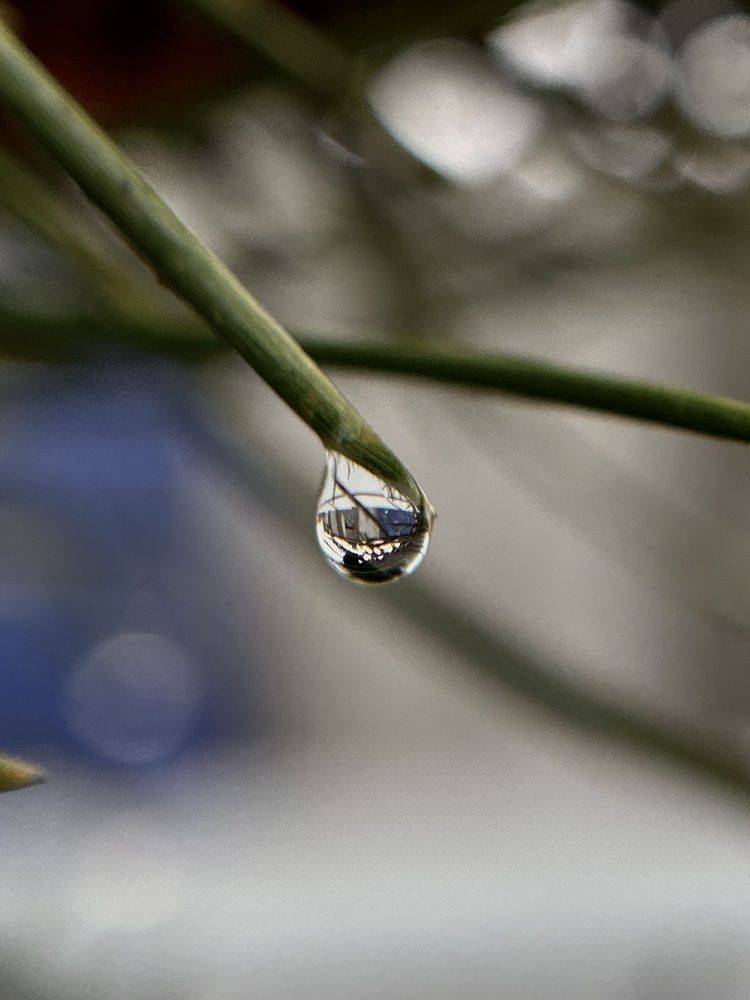 Photograph by Юлия Конопелкина