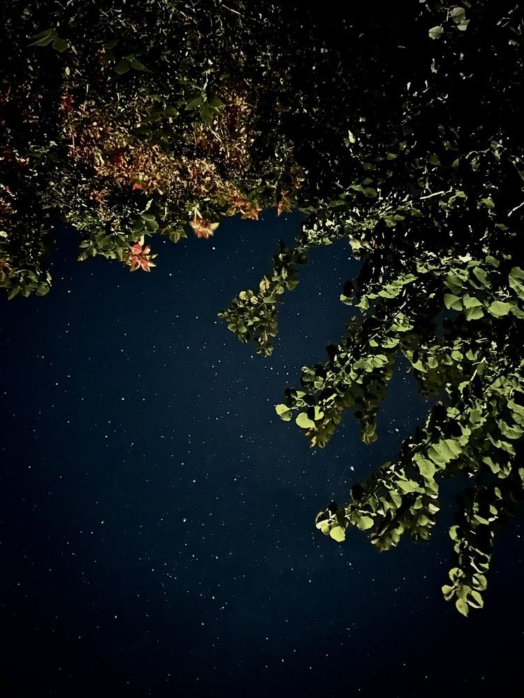 Photograph by Юлия Конопелкина