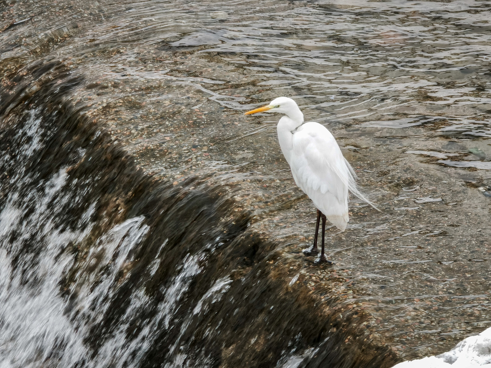 Photograph by Владимир Ли
