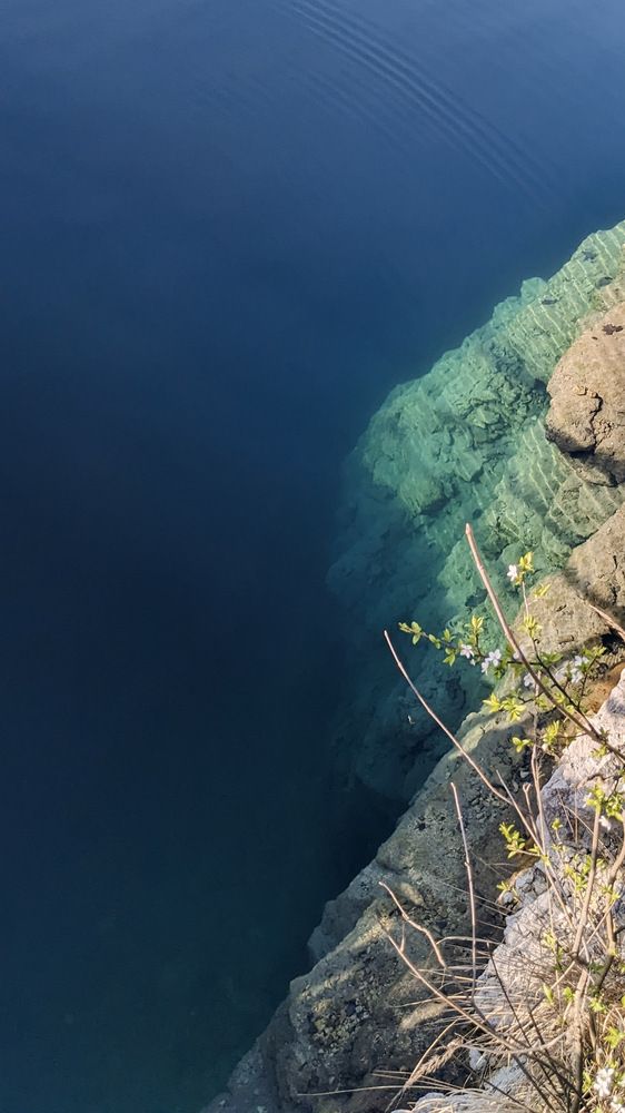 Фотография автора Adelka