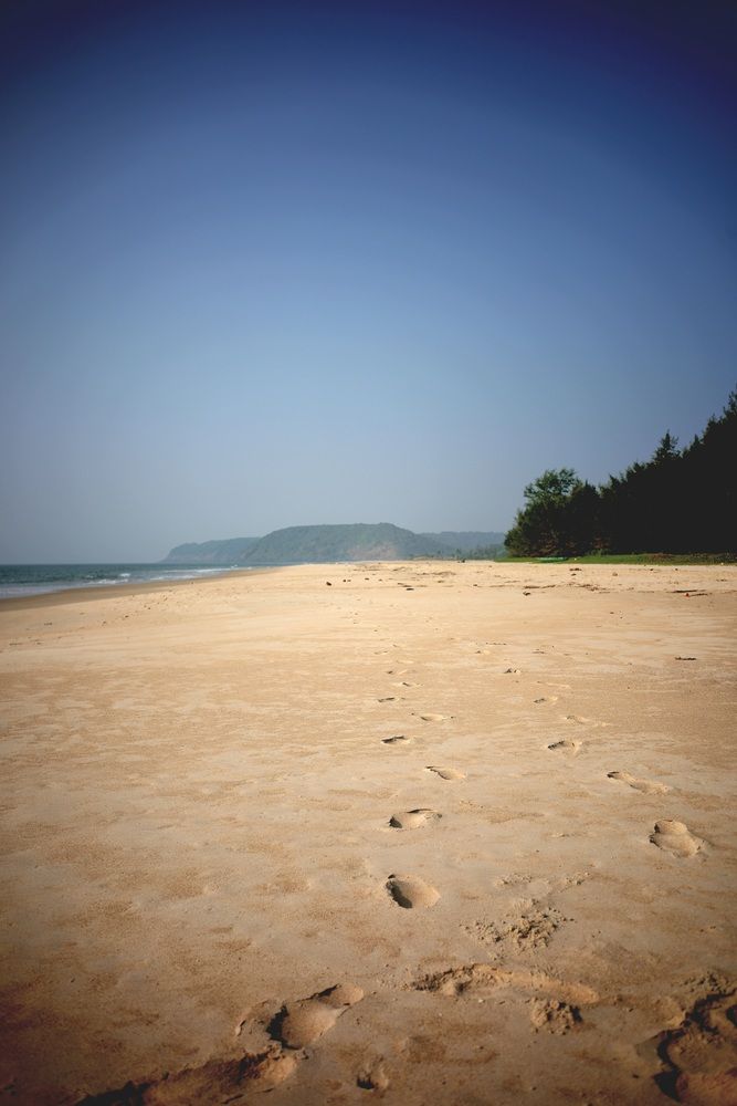 Фотография автора Алексей Морозов