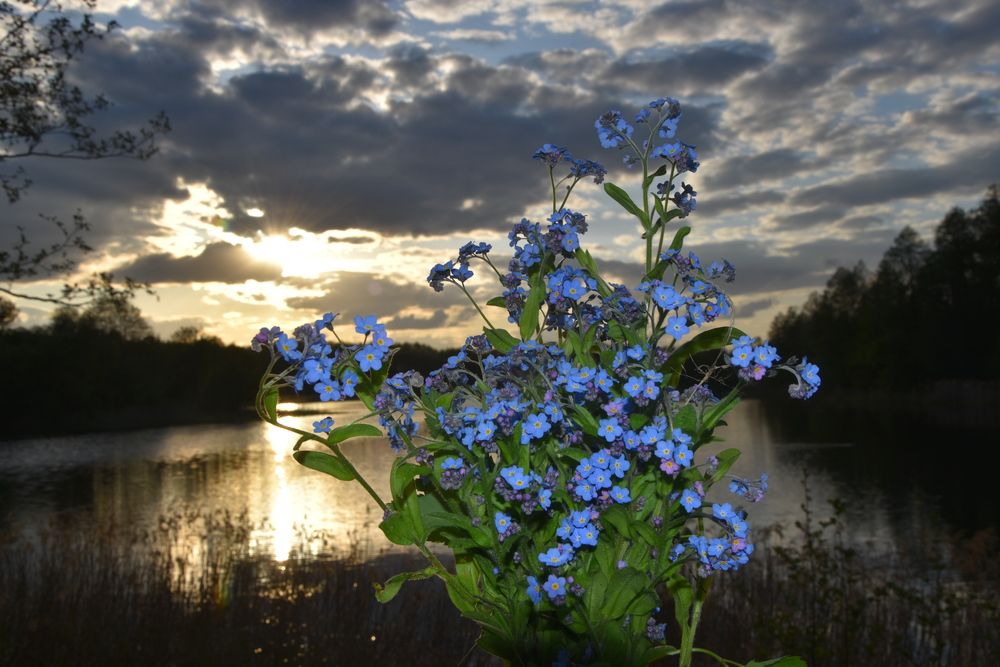 Photograph by Dimon Grinih