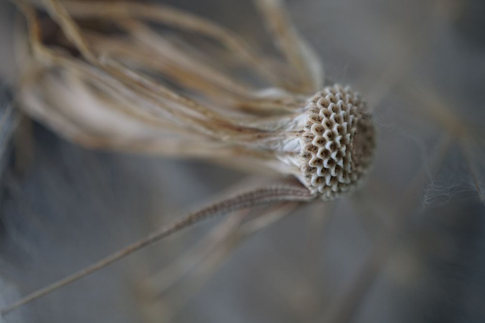 Photograph by Наталья Мубаракшина