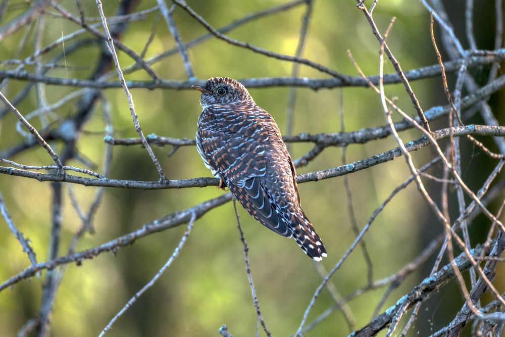 Photograph by Леонтьев Константин