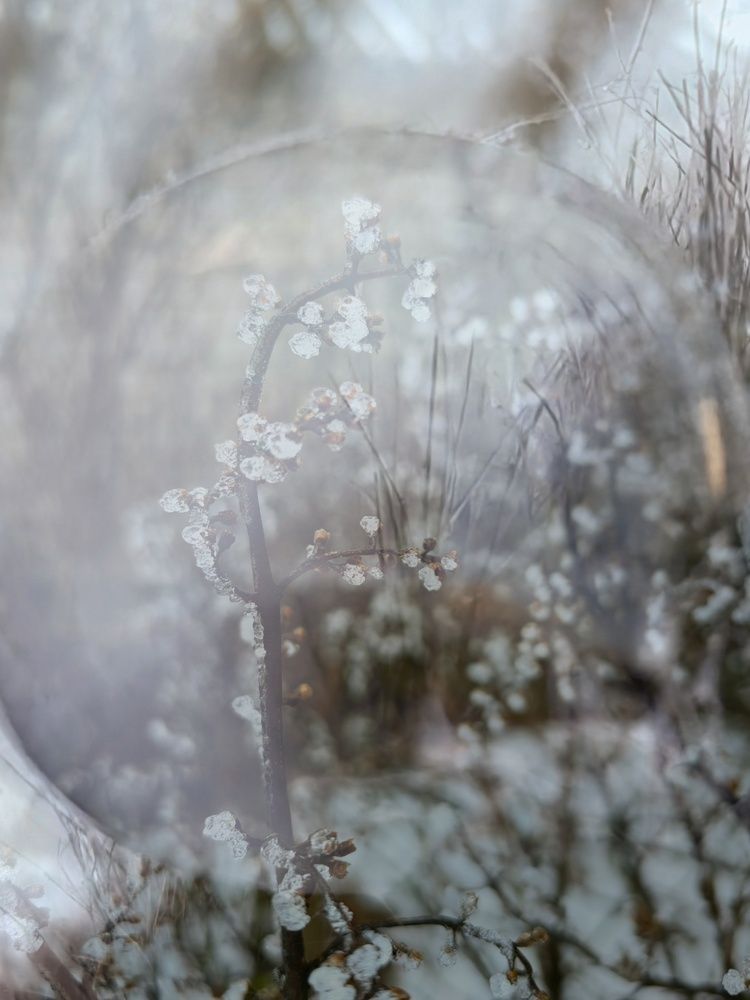 Photograph by Ульяна Кузьмина
