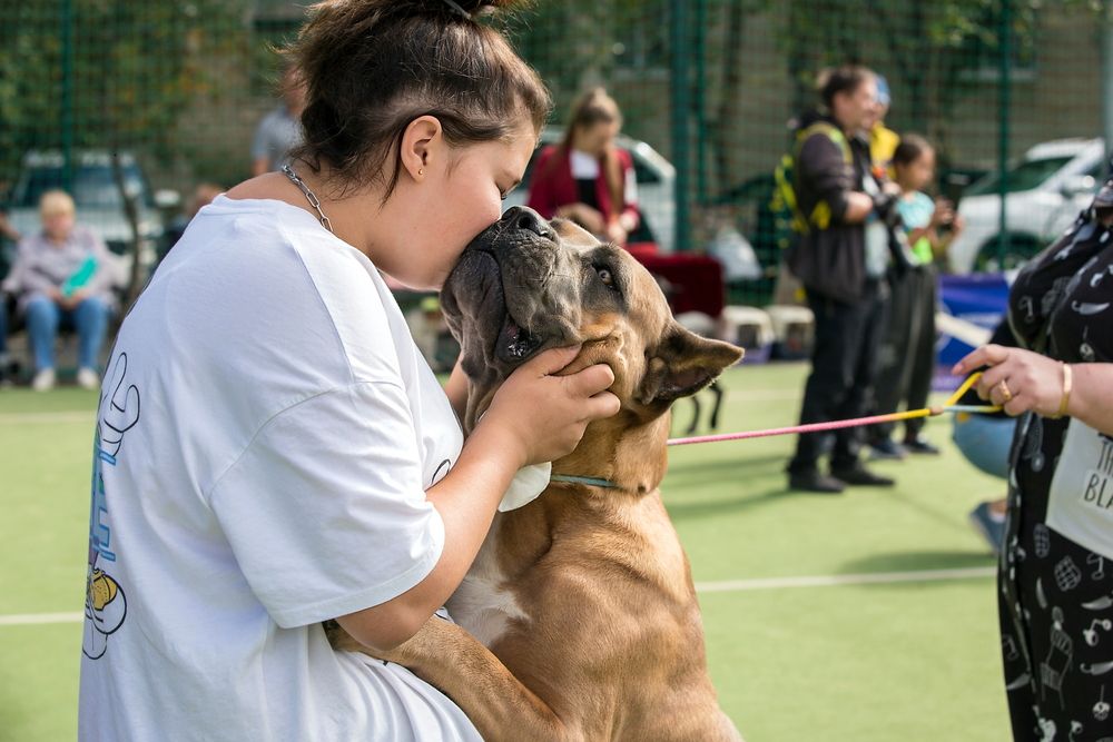 Фотография автора Марина Ватанская