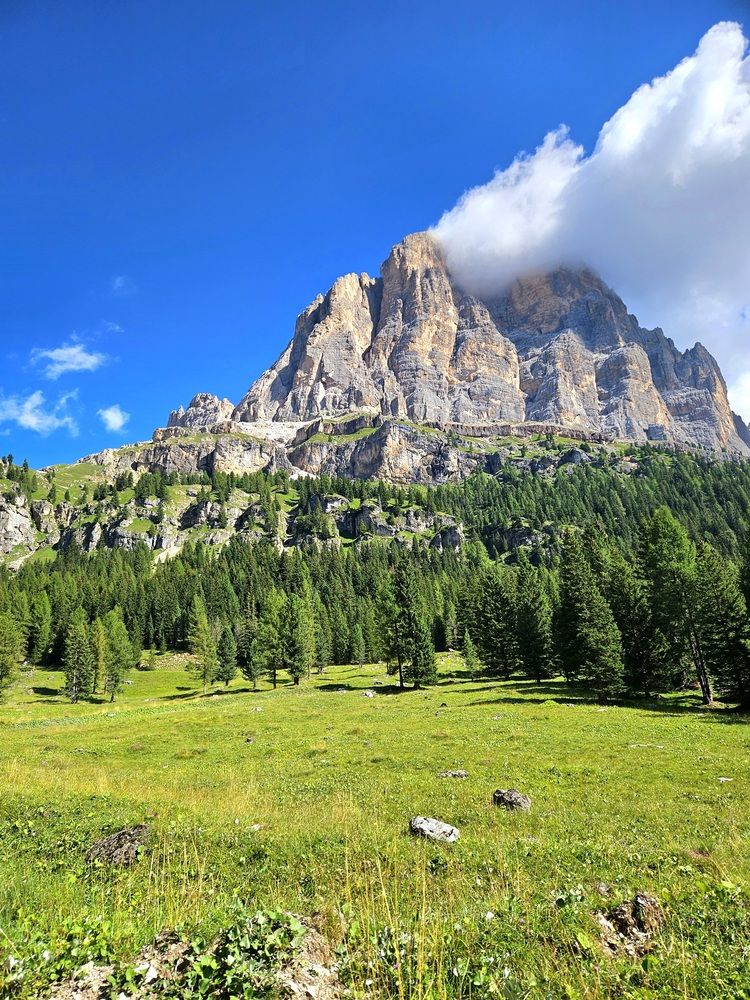 Фотография автора Elena Polonetskaya