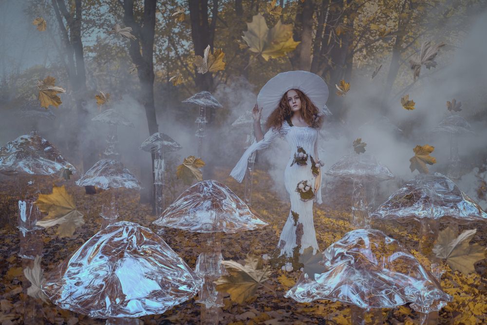 Photograph by Alexei Vladimir