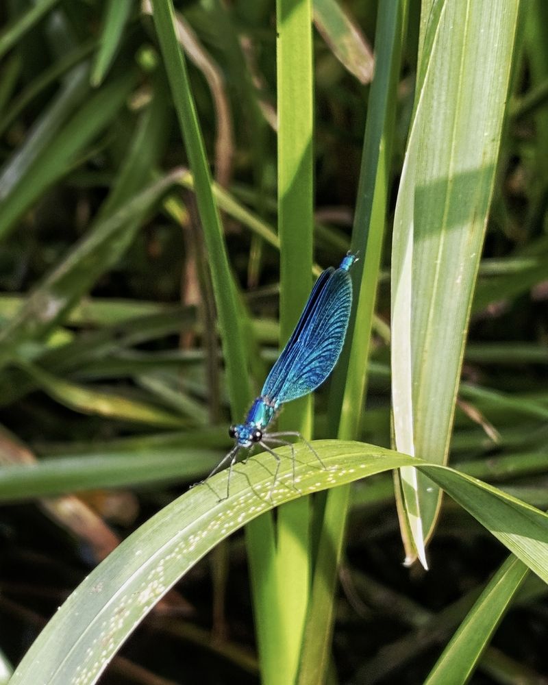 Photograph by Юлия