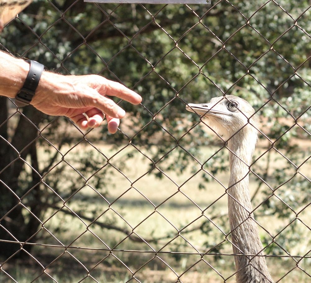 Photograph by Ivan Monges