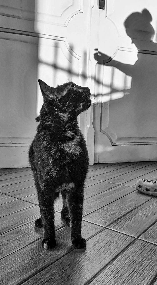 Photograph by Ivan Monges