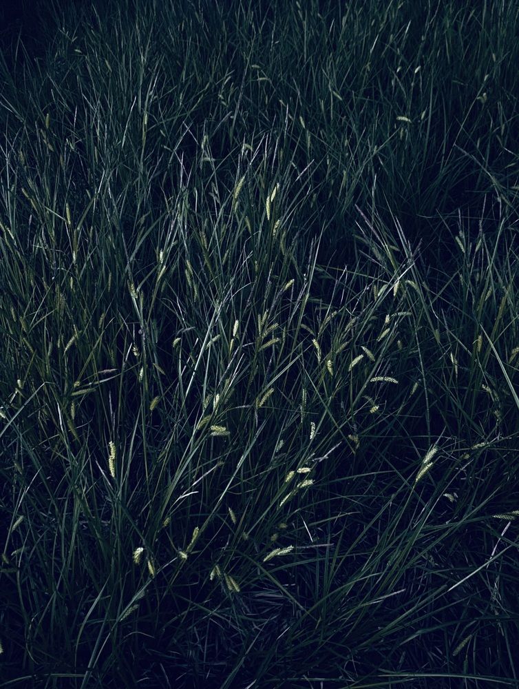 Photograph by Евгений Баранов