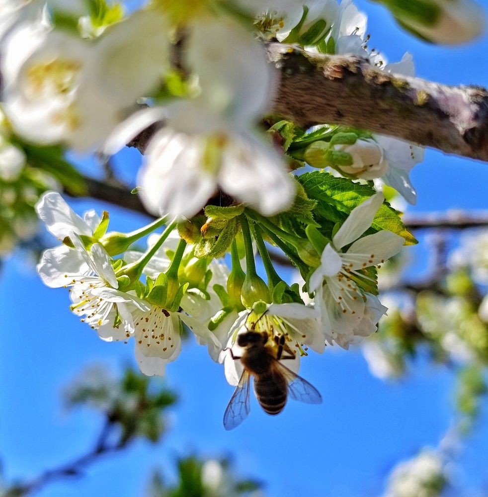 Photograph by Юлия